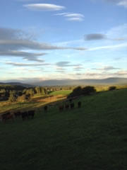 View from cottage