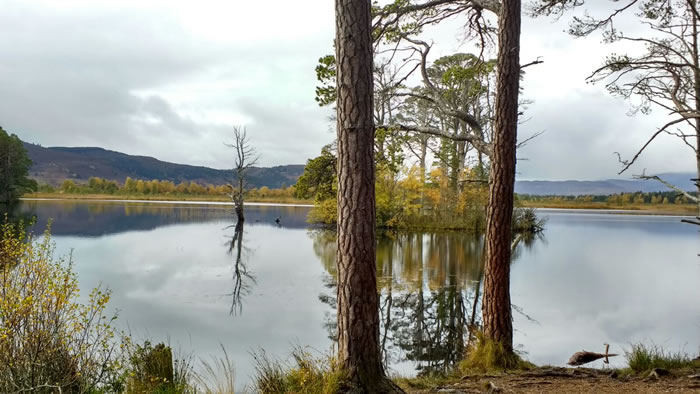 Loch Garten