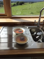 Tea time